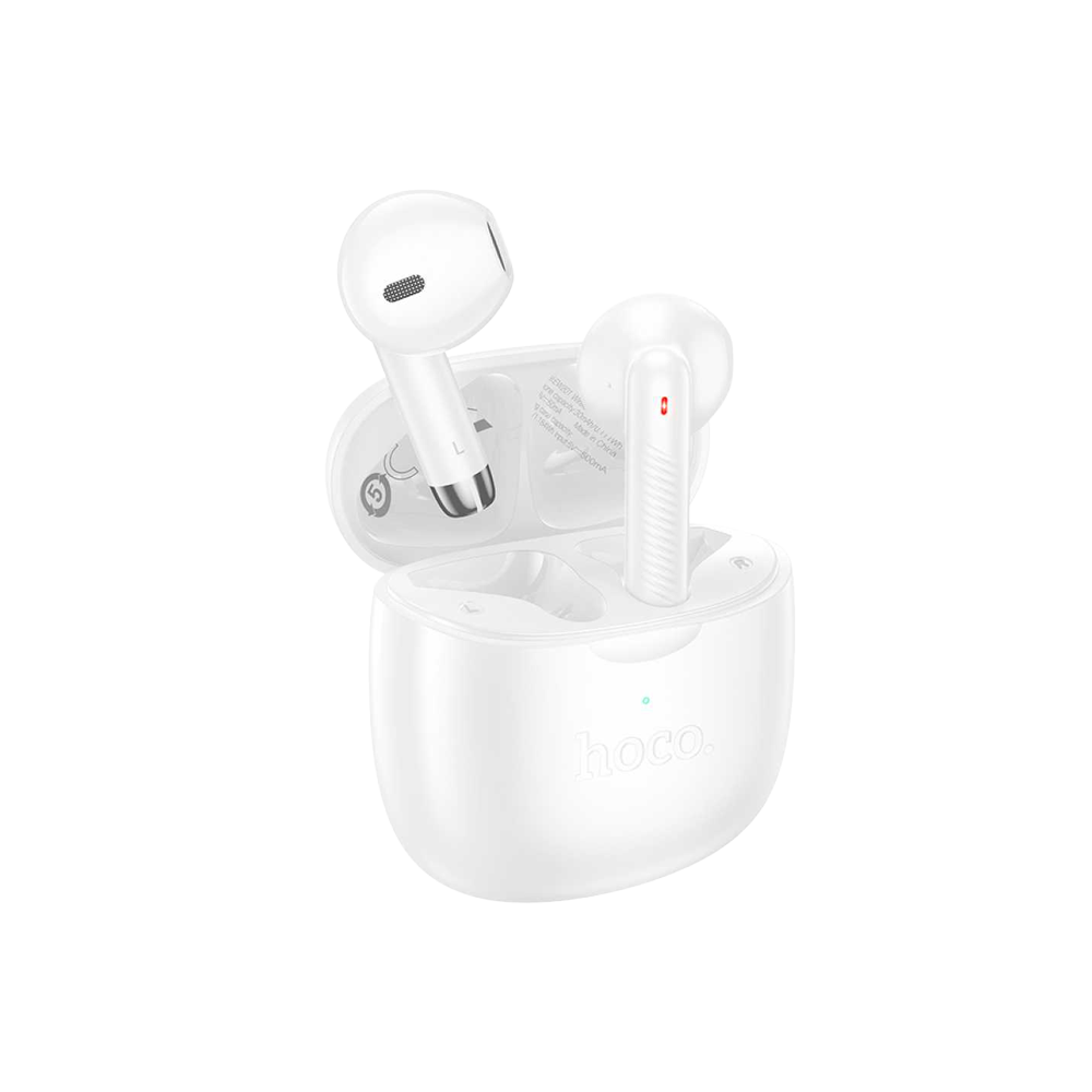EW201 Wireless Headphones with Charging Case (BT v5.4)